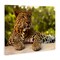 Stupell Industries Leopard Gazing Relaxation Canvas, design by MJ Photography